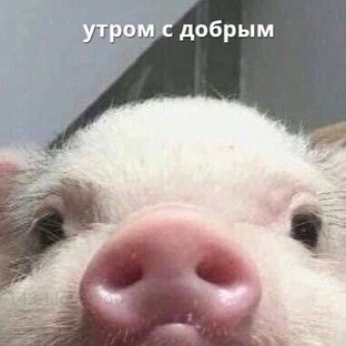 Статьи📰
