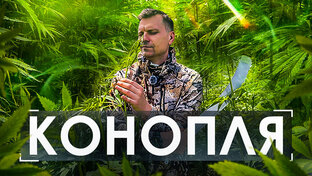 #PROвинциальный Аналитик