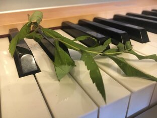 Популярные хиты кино