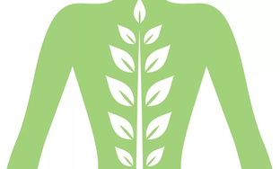 СПИНА у нас ОДНА!