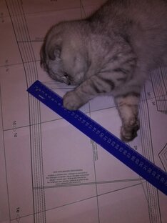 Заметки на полях