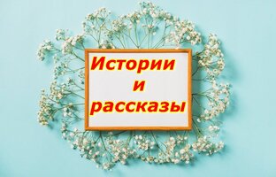 Истории и рассказы