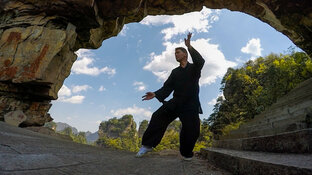 Бесплатные видеоуроки