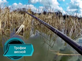 Статьи