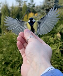 Мой лучший друг