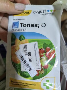 Садовые помощники.