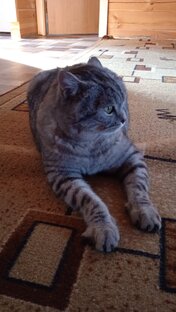 Время играет против нас.