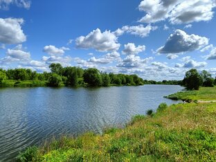 Лесопарк