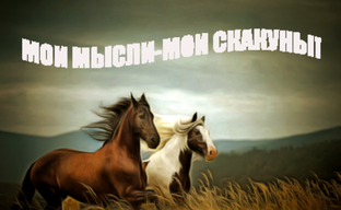 Мои размышления