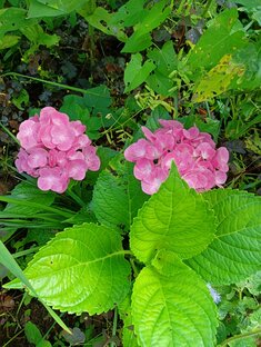 Личные истории 