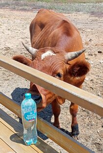 Разное видео.