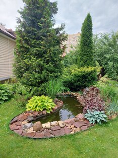 Ландшафты и дизайны