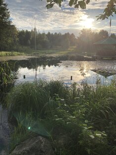 Не о цветах