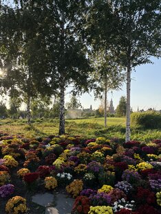 Москва и МО