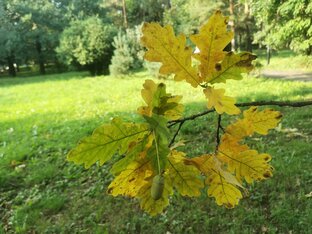 Школьные будни