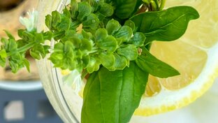 Ба! Базилик🍀