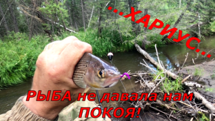 Рыбалка на Хариуса в СИБИРИ.