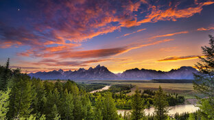 Что же все таки в нашем мире смысл жизни? 