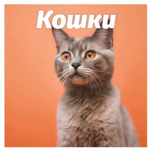 Статьи про кошек
