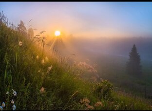 Плюшечка пишет путевой дневник