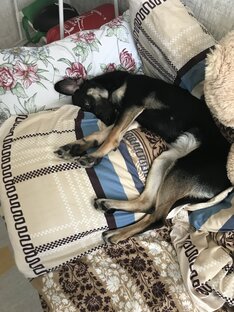 ИНТЕРЕСНЫЕ ФАКТЫ 