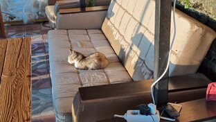 Мысли вслух