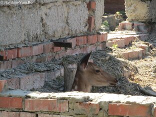 Старый ЗооБотСад Казань