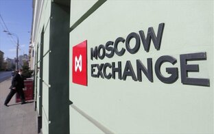 Отечественные компании в моих портфелях