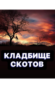 КЛАДБИЩЕ СКОТОВ