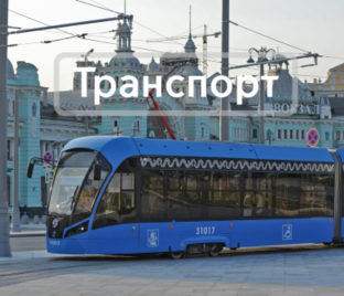 Развитие транспорта