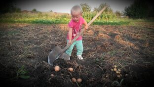 Жизнь в деревне - всё в свои руки!