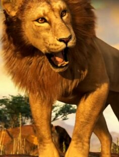 Осенний выход