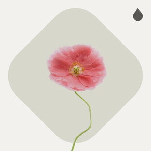 Полезные подборки