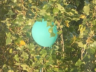 Из «умею» в деньги