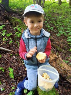 Поездки с детьми 