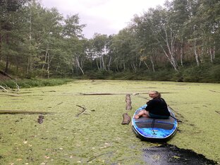 НовоСибирь: Обское море, бор, скалы, дайвинг в Новосибирской области