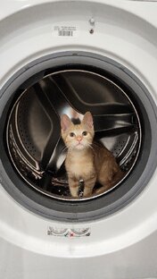 Кузя и его приключения.