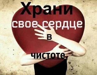 Сердце