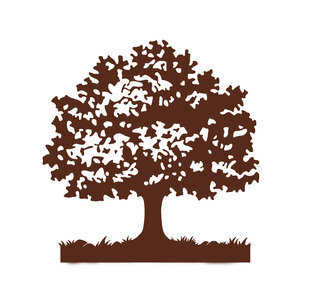 Подводим Итоги