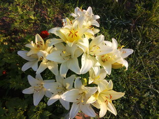 Короткие рассказы