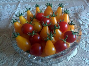 Синьоры-помидоры