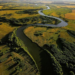 Рыбалка на реке Меша