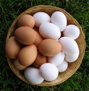 Мифы о пище