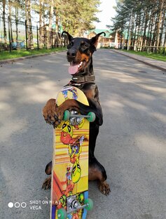 Самые крутые ролики 👌