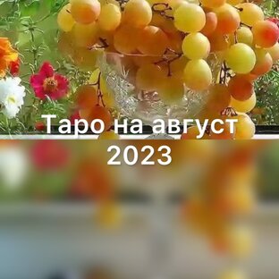 Таро прогнозы на август 2023