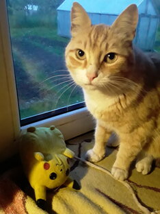 Мысли вслух