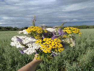 Отвечаю на ваши вопросы!