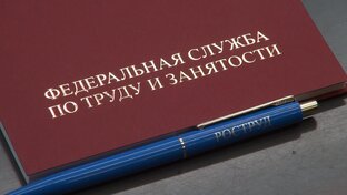 Письма Минтруд, Роструд