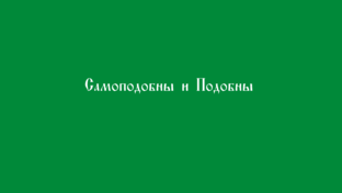 Подобны/Самоподобны