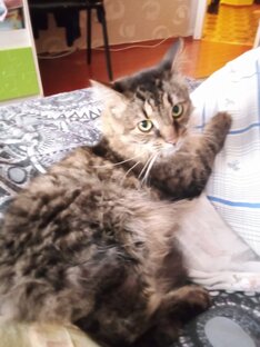 ❤😈